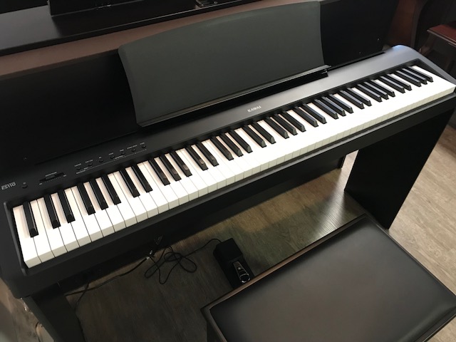 Kawai Weighted Key Digital Piano